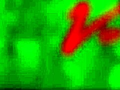 Hidden Camera Captures Cute Ebony's Beautiful Chocolate Ass Up Close