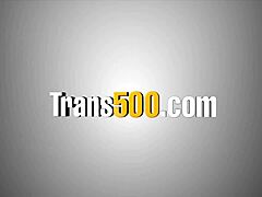 shemale babe takes intense backdoor pounding session