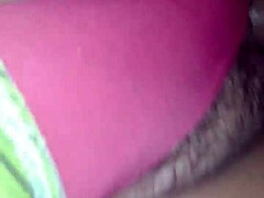 rub cock on pussy then fuck bull hard?