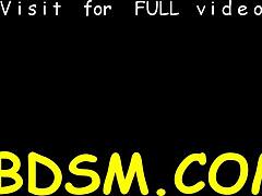 sexy bound slaves suck wet tight cunts rough bdsm contest play