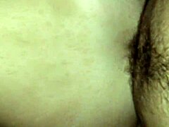 i beg you to fuck my amateur wife hard just like this