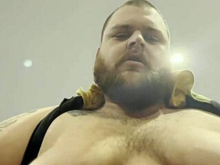 Big Black Heat in Bear Compilation