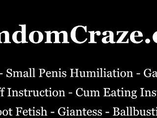 Your Sex Slave Training Starts Now With Femdom Punishment And Humiliation!