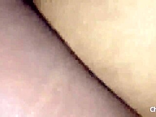 Intimate Close-Up of Passionate Pussy Fucking