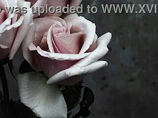 Mcr - I Dont Love You Sub Español