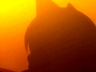 Teacher's Assistant Gets Gangbang With Monster Cock Anal