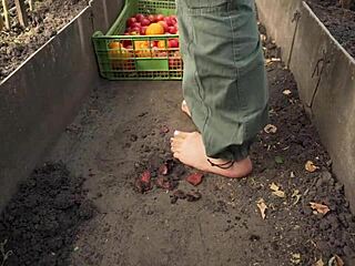 Squashing Tomatoes Barefoot in the Dirt for Relaxing ASMR Experience